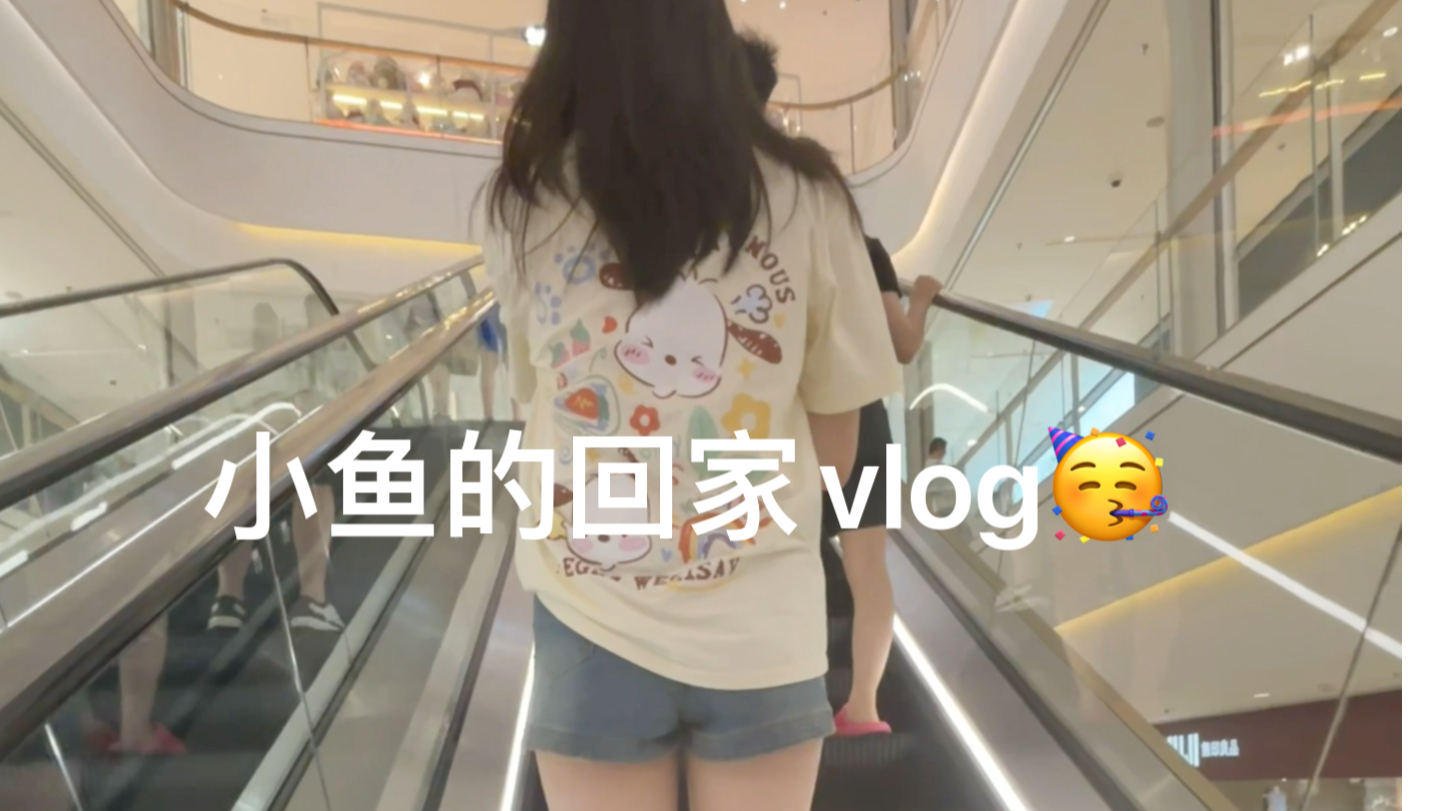 小鱼不定期更新的vlog哔哩哔哩bilibili