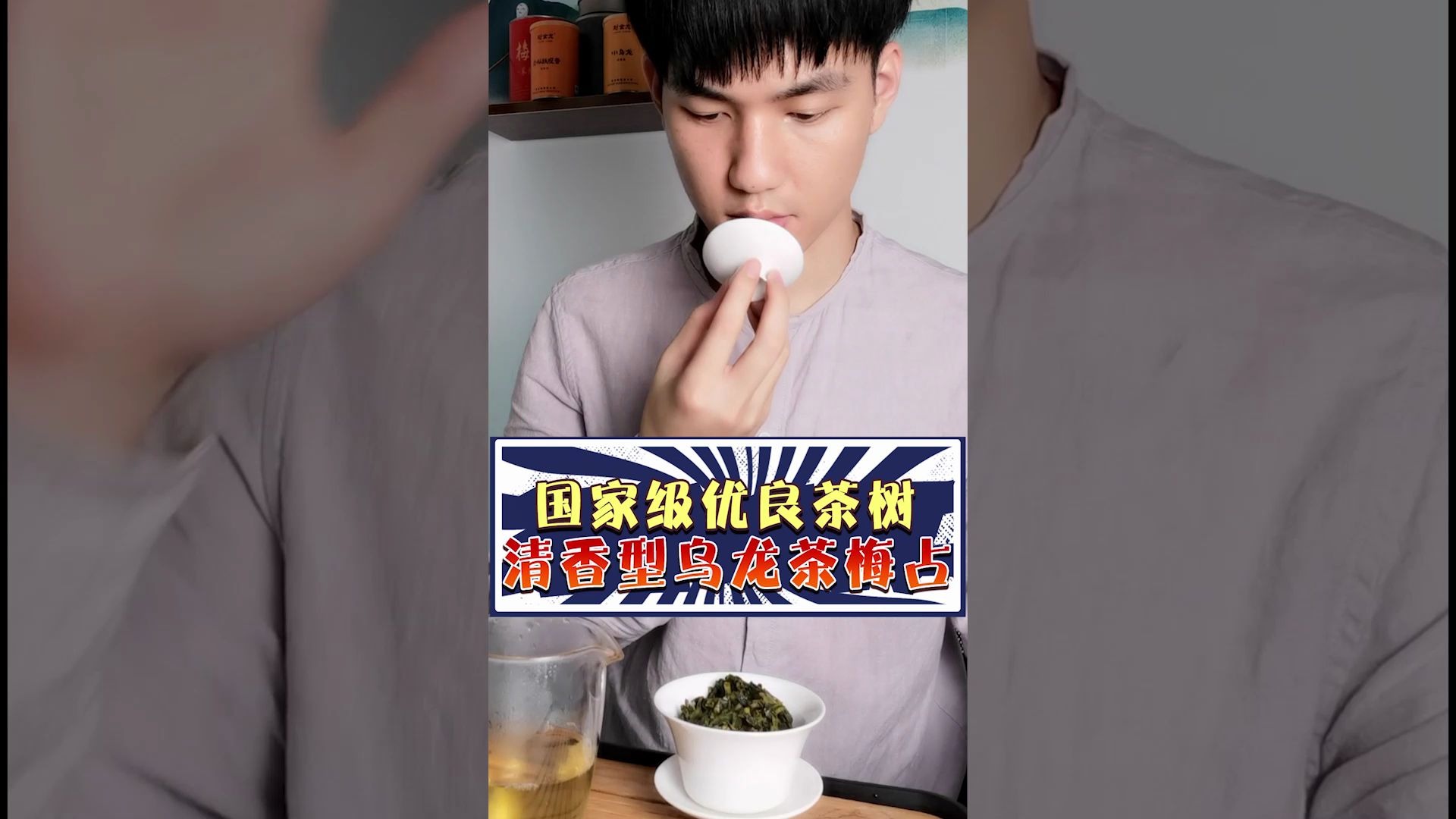 清香型乌龙茶梅占试喝品鉴哔哩哔哩bilibili