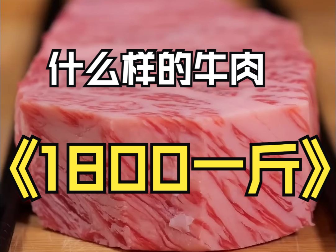 日本5A和牛:1800一斤的牛肉哔哩哔哩bilibili