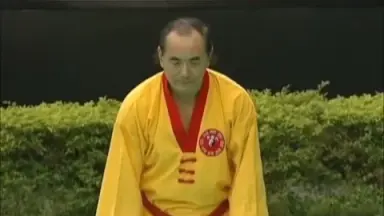 白鹤拳-哔哩哔哩_Bilibili