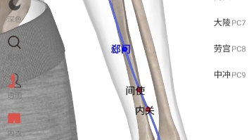 手厥阴心包经腧穴分布图示哔哩哔哩bilibili