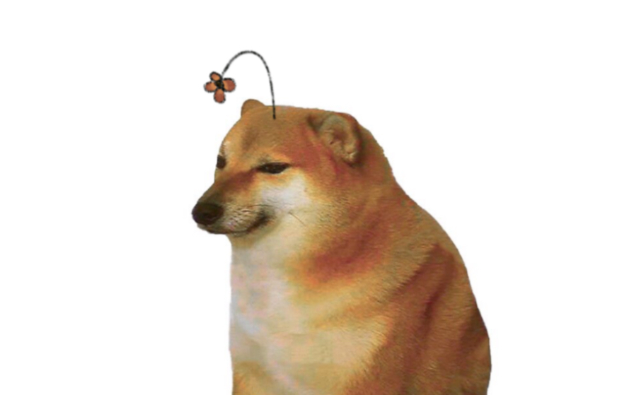 那只cheems的头上有朵花