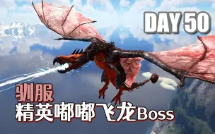 Video herunterladen: 【方舟维京湾50】驯服精英嘟嘟飞龙Boss，殉龙高手or驯龙高手？- ARK方舟生存进化维京湾原始恐惧恐龙生存开荒