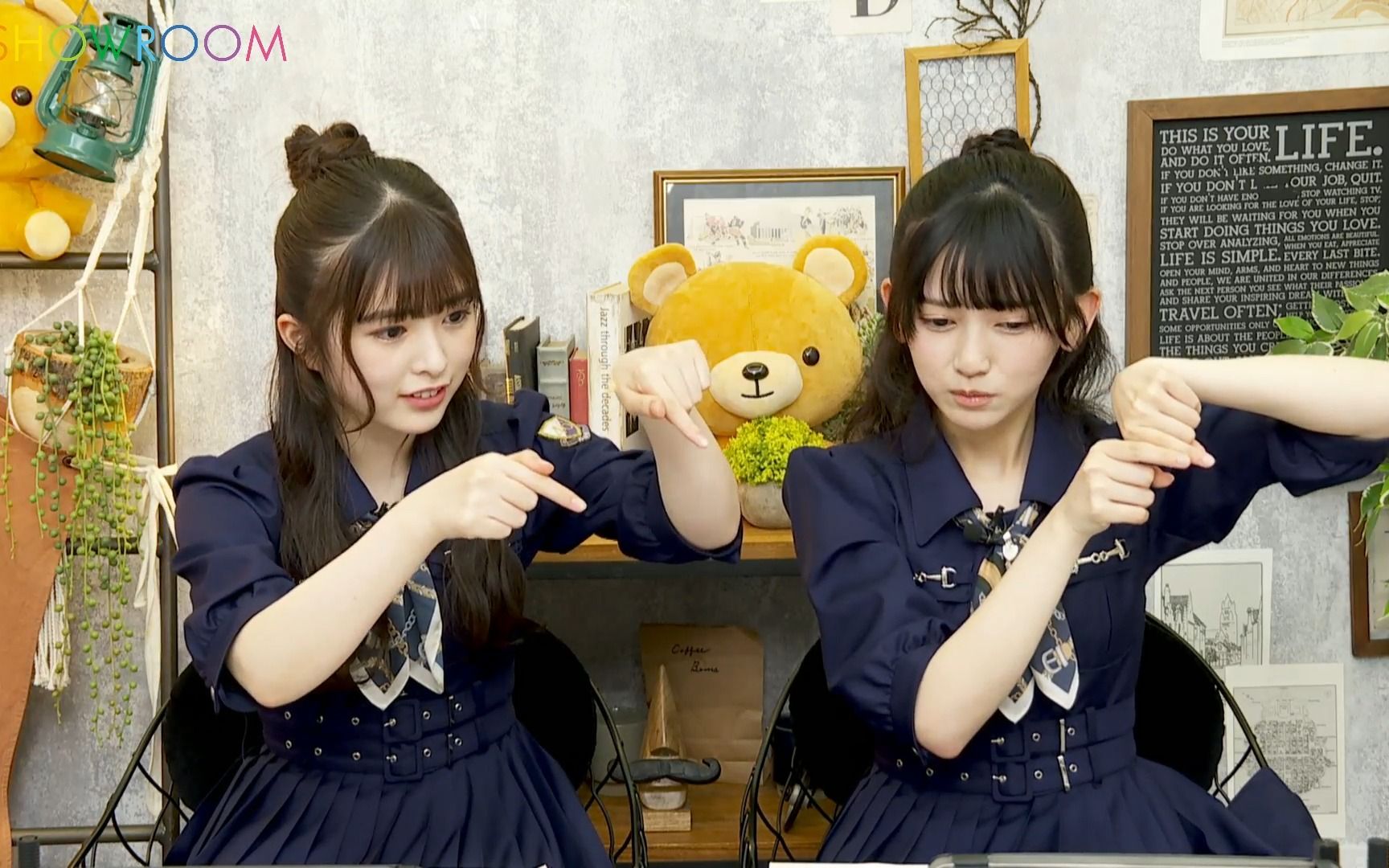 猫舌showroom『乃木坂46にゃんば1』nekojita (2023年05月10日18時46