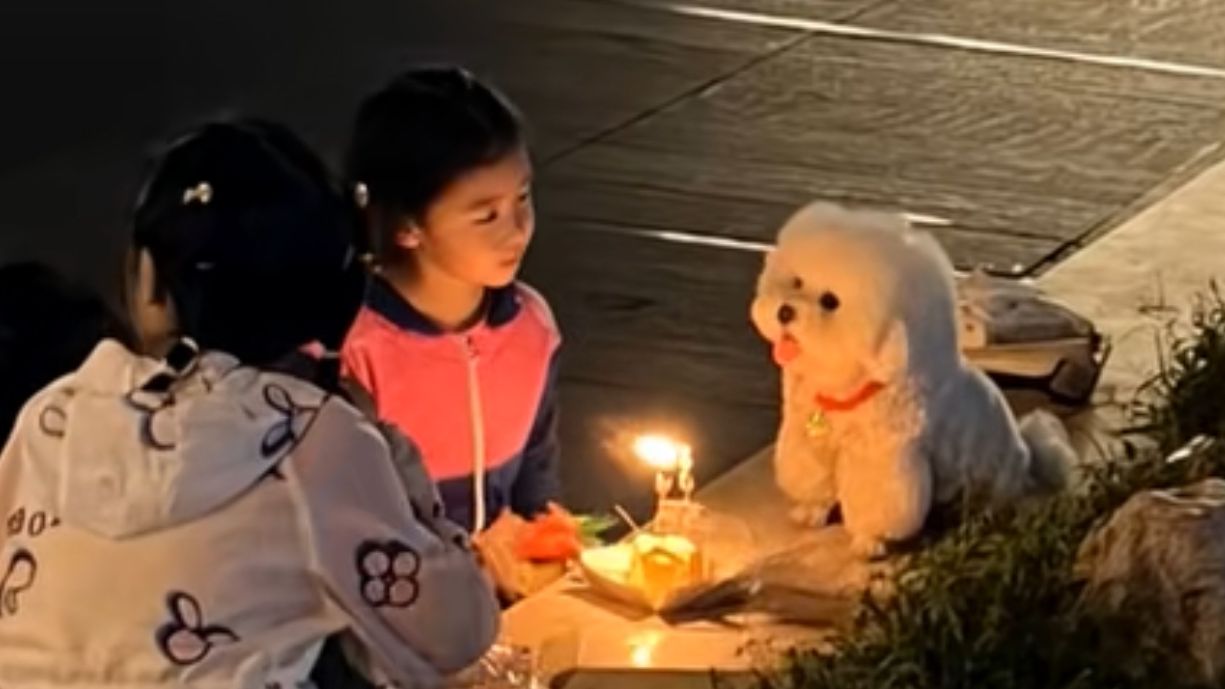 《猫好,狗好,小孩好》