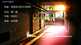 魏桐语 小九儿 恋人过客 伤感至极 好听 哔哩哔哩 つロ干杯 Bilibili