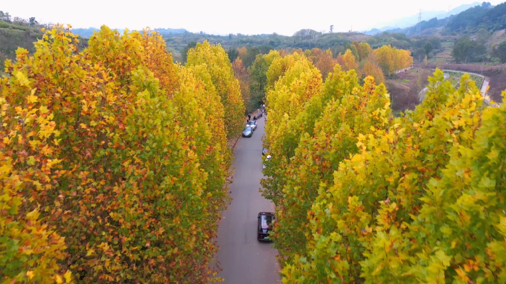 航拍打卡重庆北碚思乡台公园