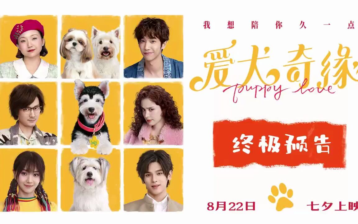 冯绍峰 /古力娜扎 《爱犬奇缘》曝终极预告 七夕相约萌宠治愈之旅