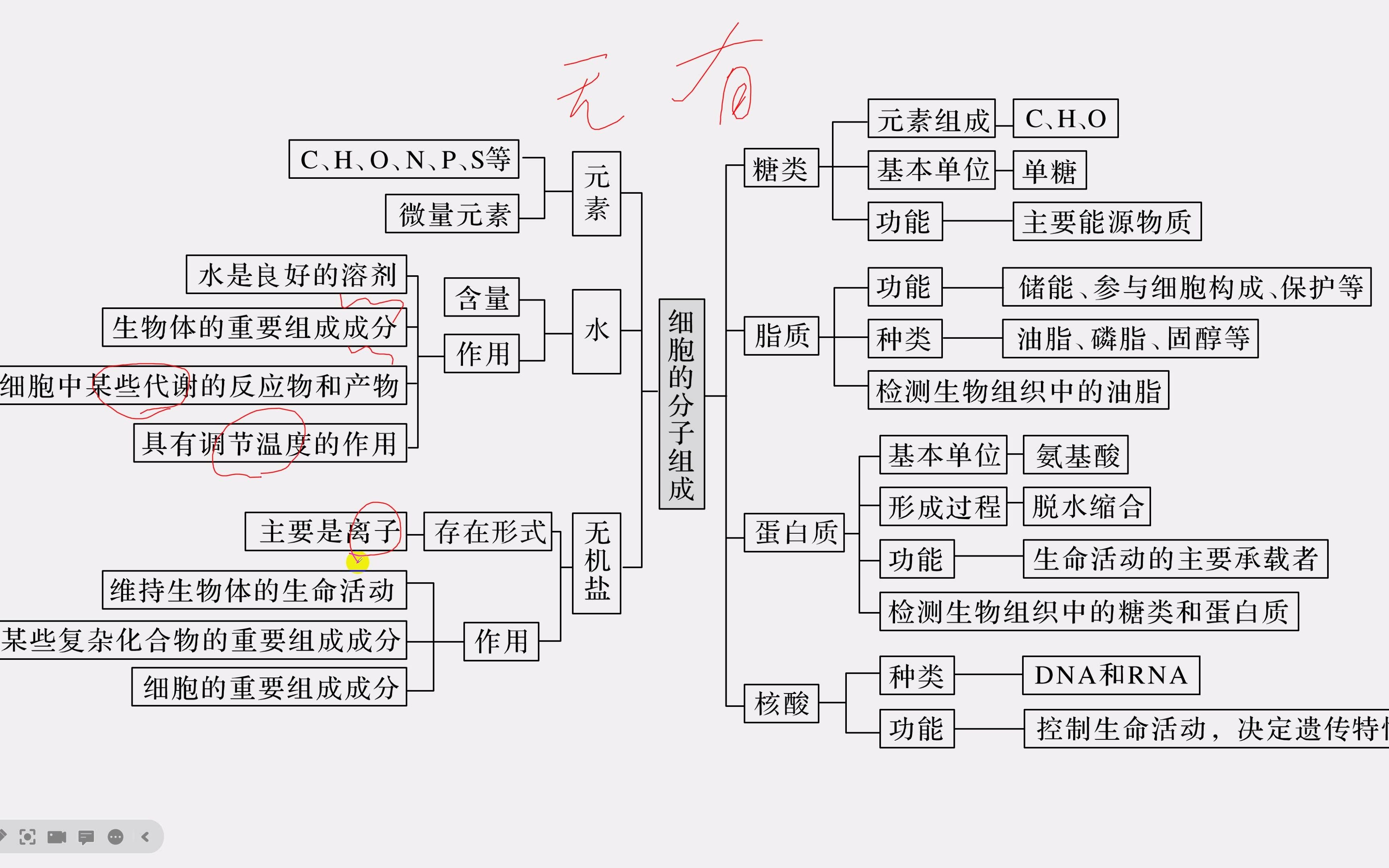 第一章 细胞的分子组成 复习