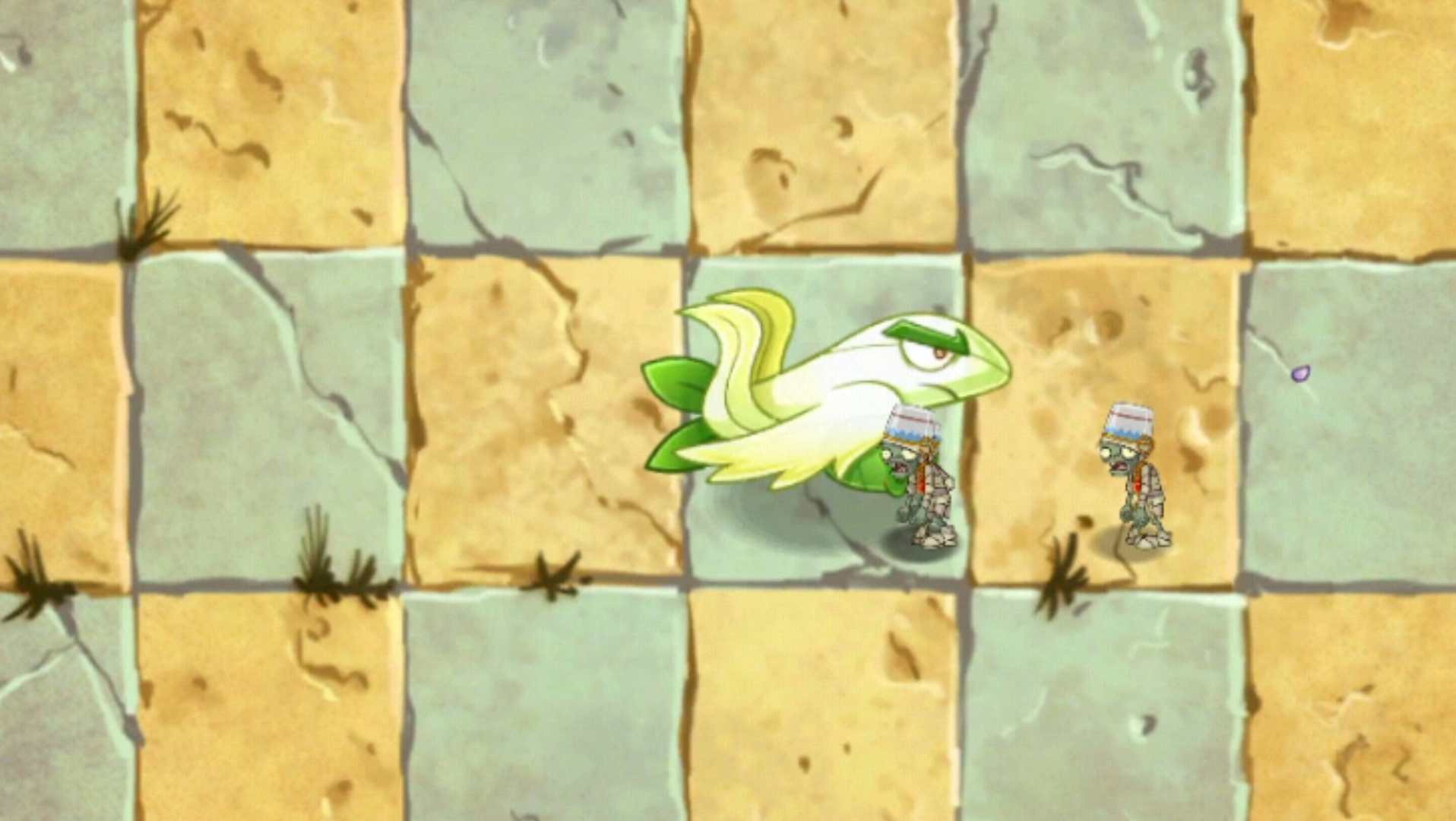 白鹭花战机死亡瞬间