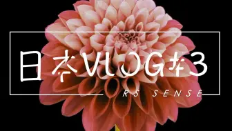 东京花艺游学 大田花市见习 日本vlog 2 哔哩哔哩 Bilibili