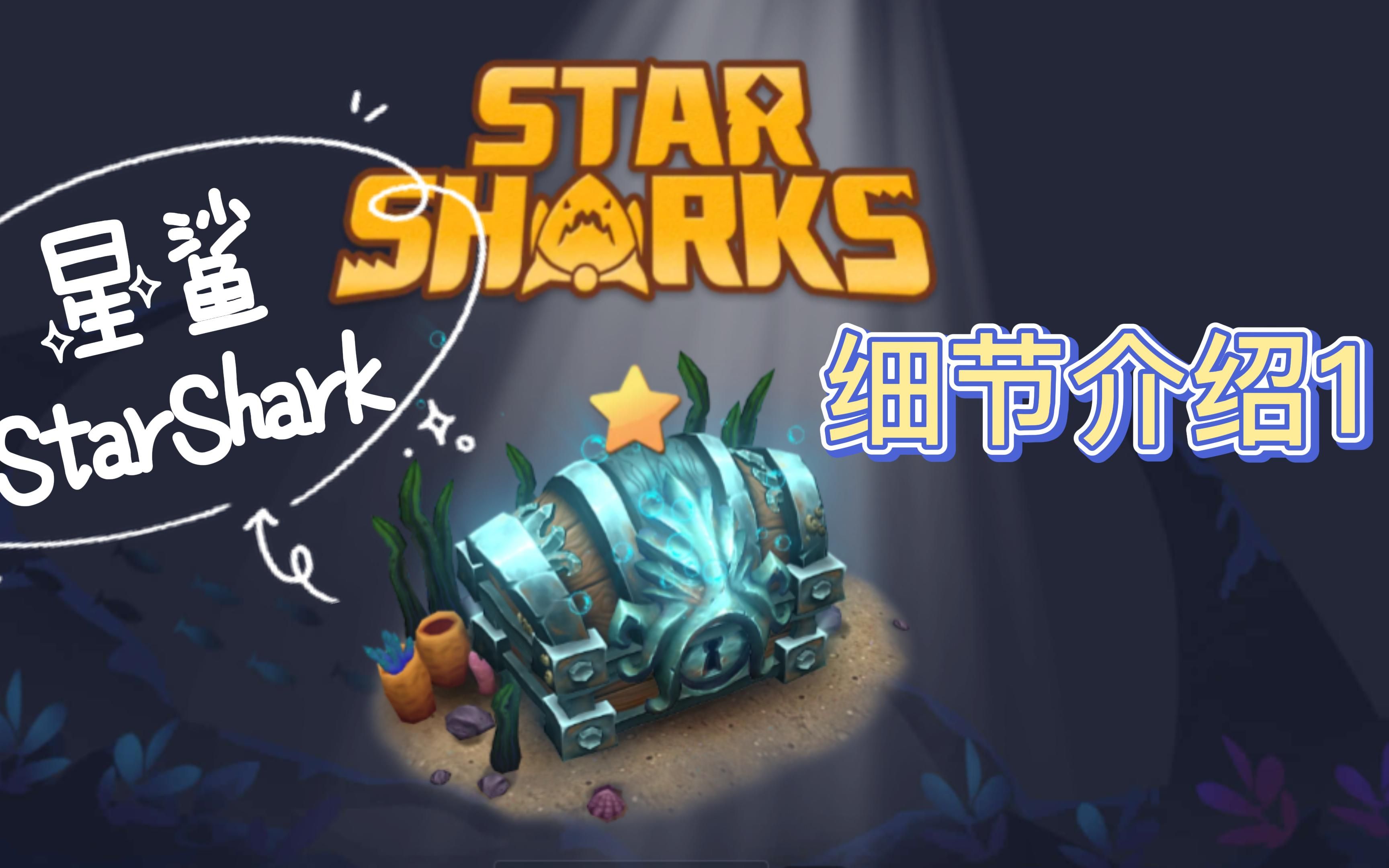 星鲨starshark新手细节介绍哔哩哔哩bilibili