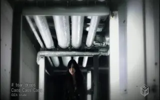 白石乃梨 搜索结果 哔哩哔哩 Bilibili