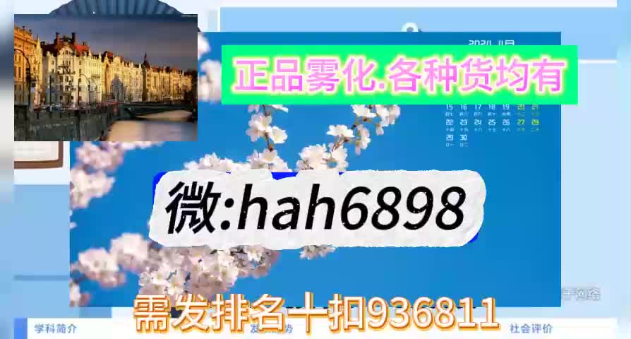 雪加鸭嘴兽一次性新品的价位多少一根?