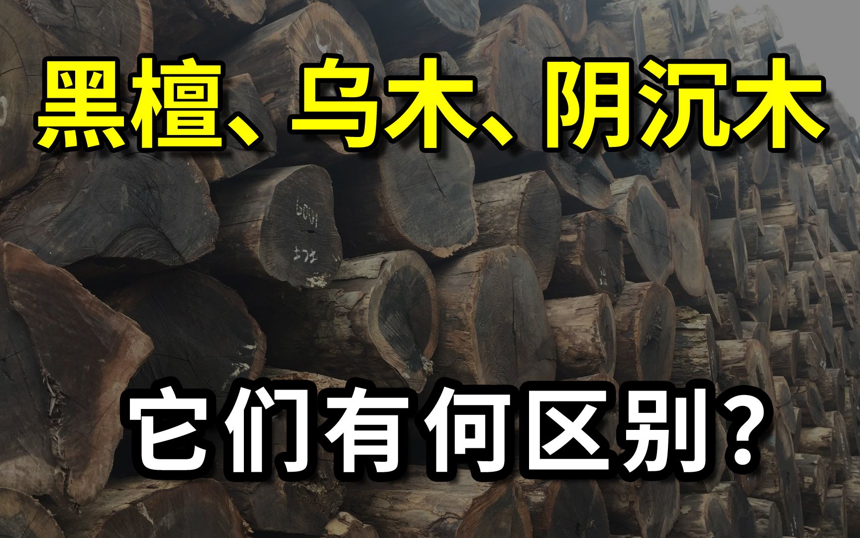 黑檀、乌木、阴沉木,它们有何区别?一次性讲解明白,你懂了吗?哔哩哔哩bilibili