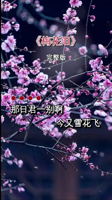 經典老歌 #梅花淚 #完整版 #音樂分享