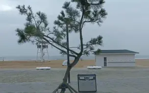 下载视频: 存视频|石老人海水浴场