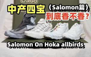 Скачать видео: 【拷打】新中产标配——Salomon到底香不香？（上篇）