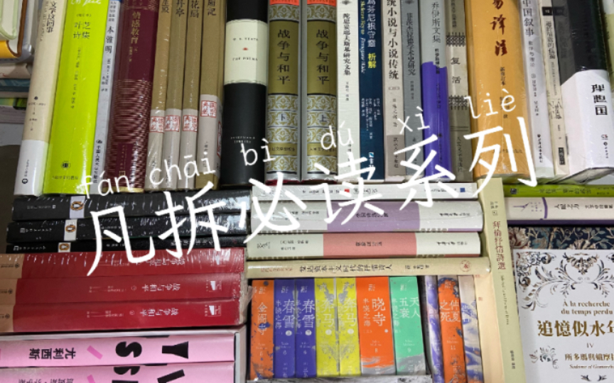 双十一拆书唠嗑译本|与严肃文学贰叁事哔哩哔哩bilibili