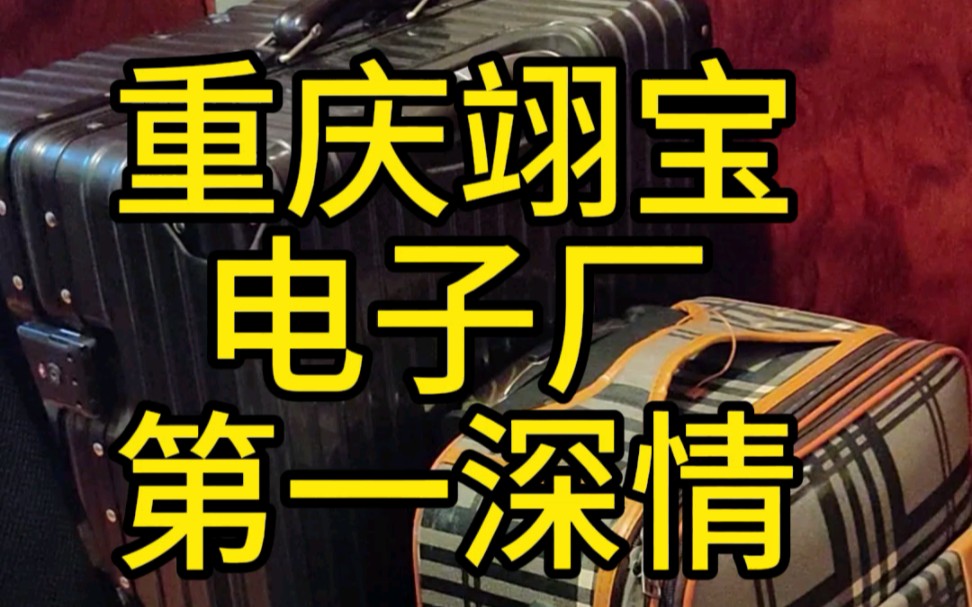 我就是重庆电子厂第一深情!#重庆翊宝