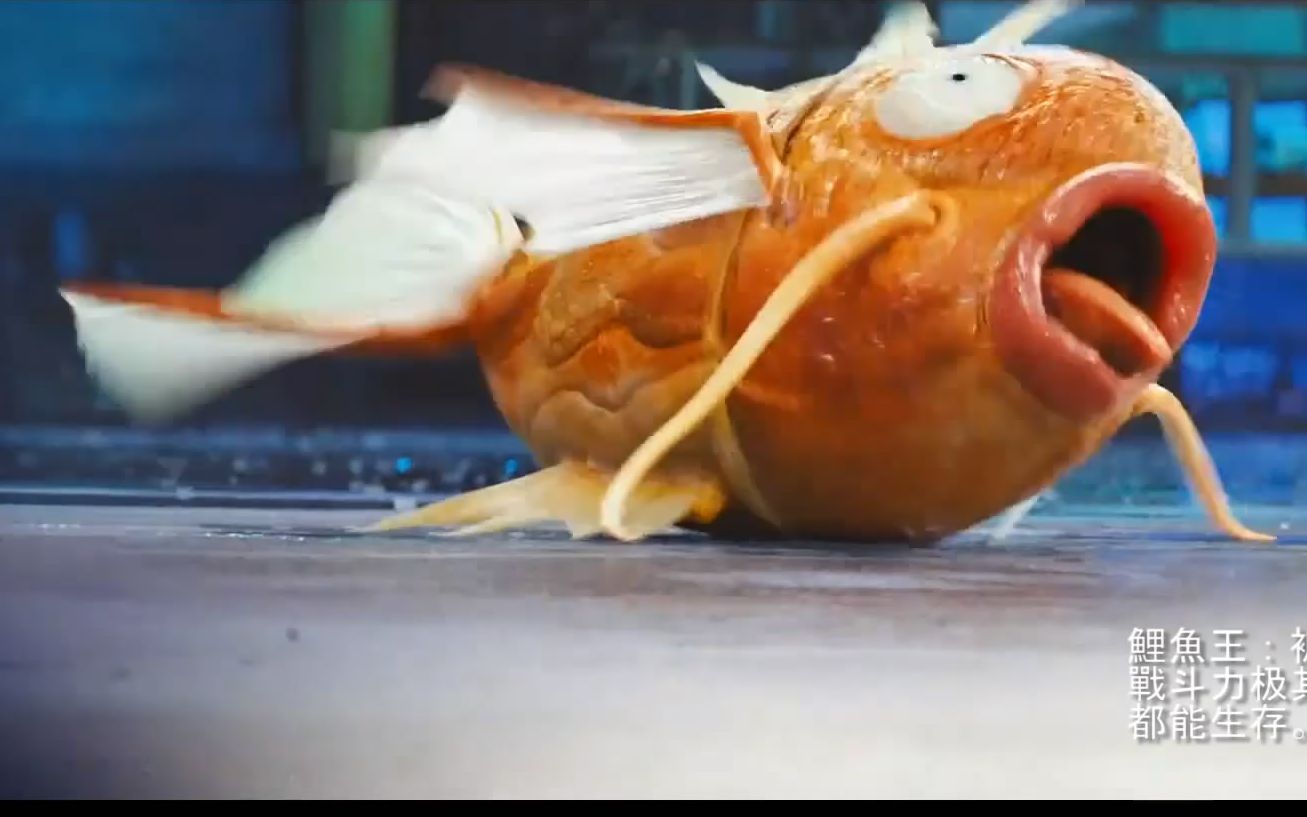 鲤鱼(咸鱼)王的翻身?_哔哩哔哩 (゜-゜)つロ 干杯~-bilibili