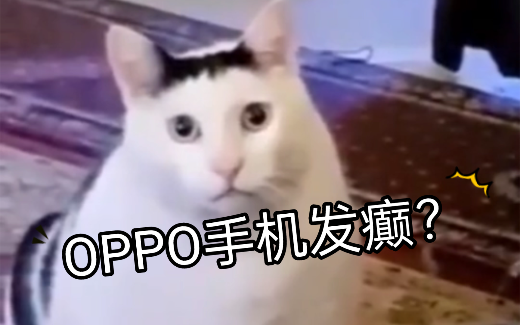 大型纪录片之《OPPO手机发癫记》哔哩哔哩bilibili