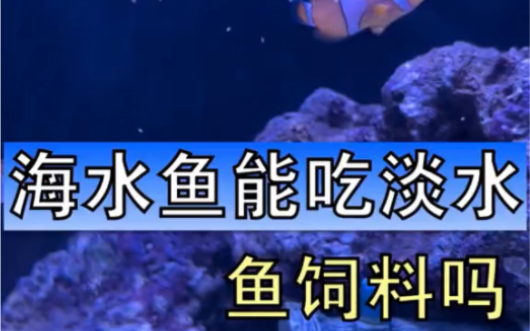 你们说海水鱼能吃淡水鱼的颗粒饲料吗?反正我一直就啊这样瞎喂,主要单独给它们三小只买饲料的话,估计放坏都吃不完哔哩哔哩bilibili