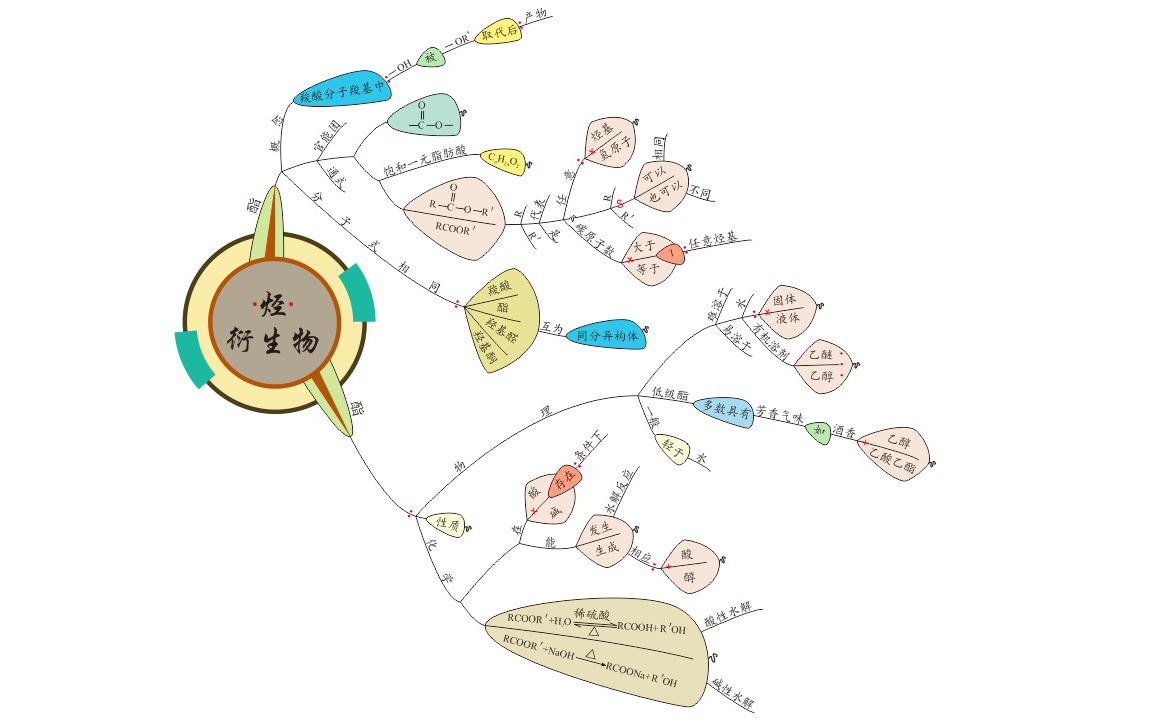 烃的衍生物 酯哔哩哔哩bilibili