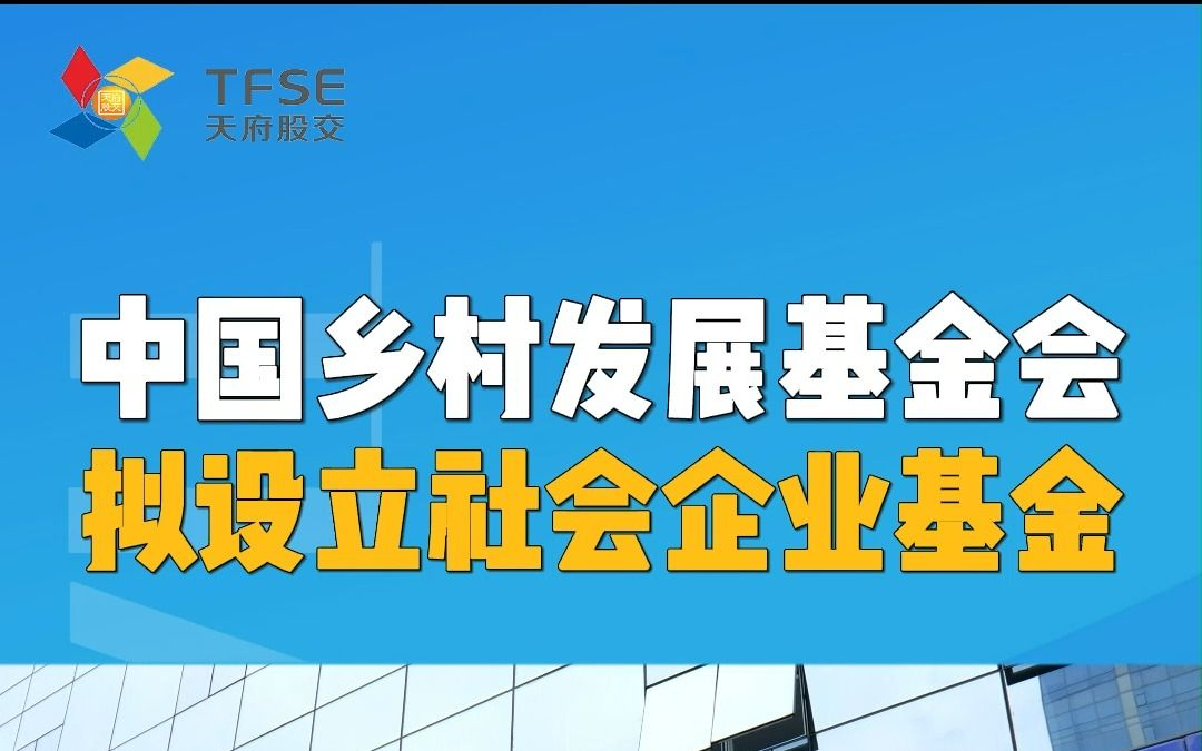 中国乡村发展基金会:设立社会企业基金 培育孵化社会企业哔哩哔哩bilibili