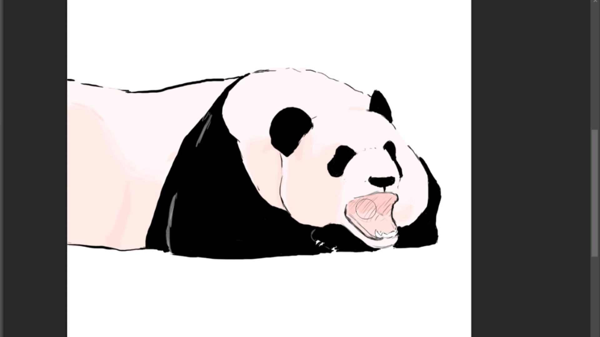 熊猫宝宝打哈欠 板绘