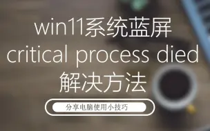 Скачать видео: win11系统蓝屏报错代码critical process died解决方法