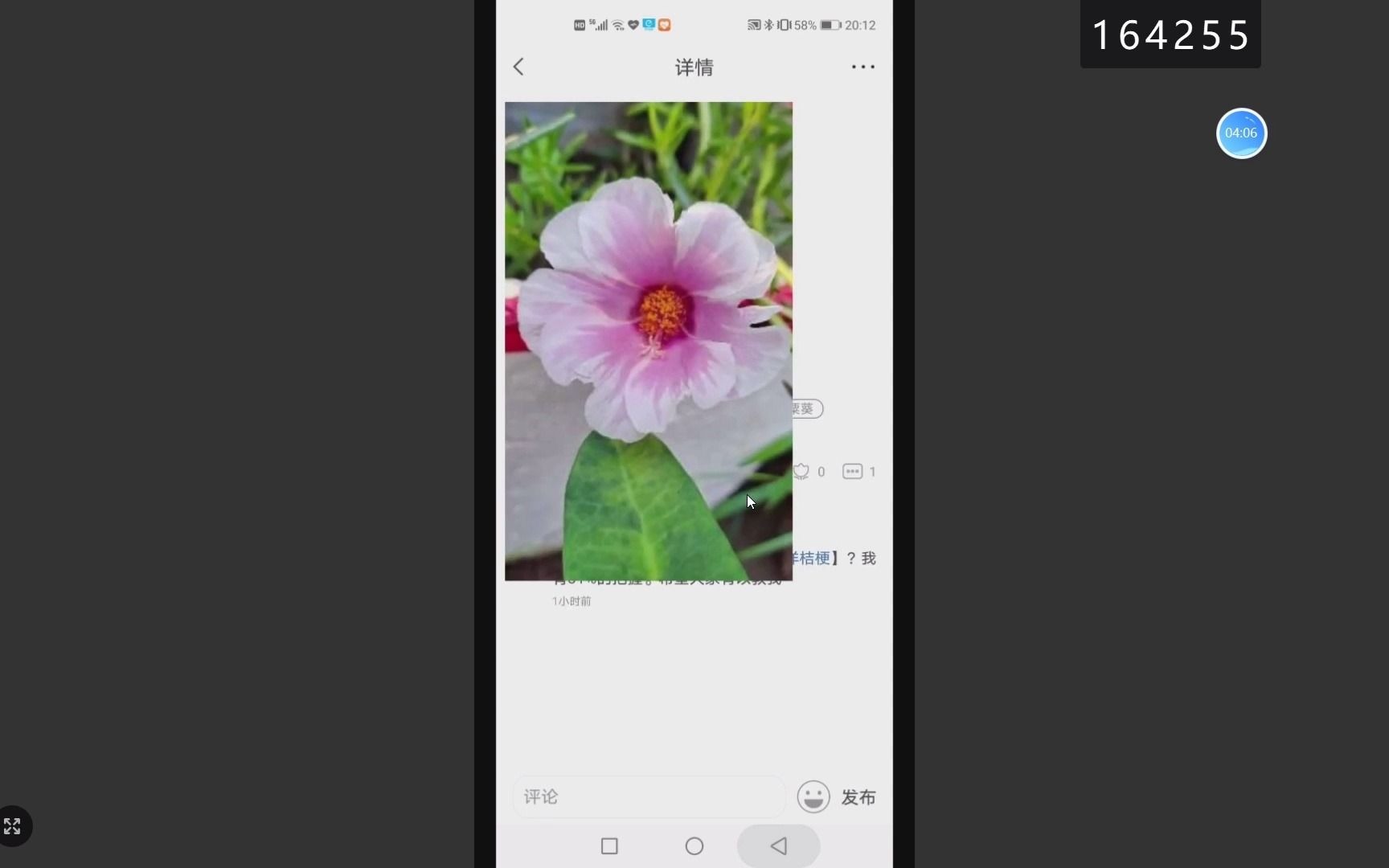 花伴侣APP介绍哔哩哔哩bilibili