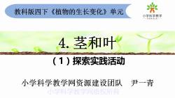 教科版小学科学四下14《茎和叶》(4.合集)哔哩哔哩bilibili