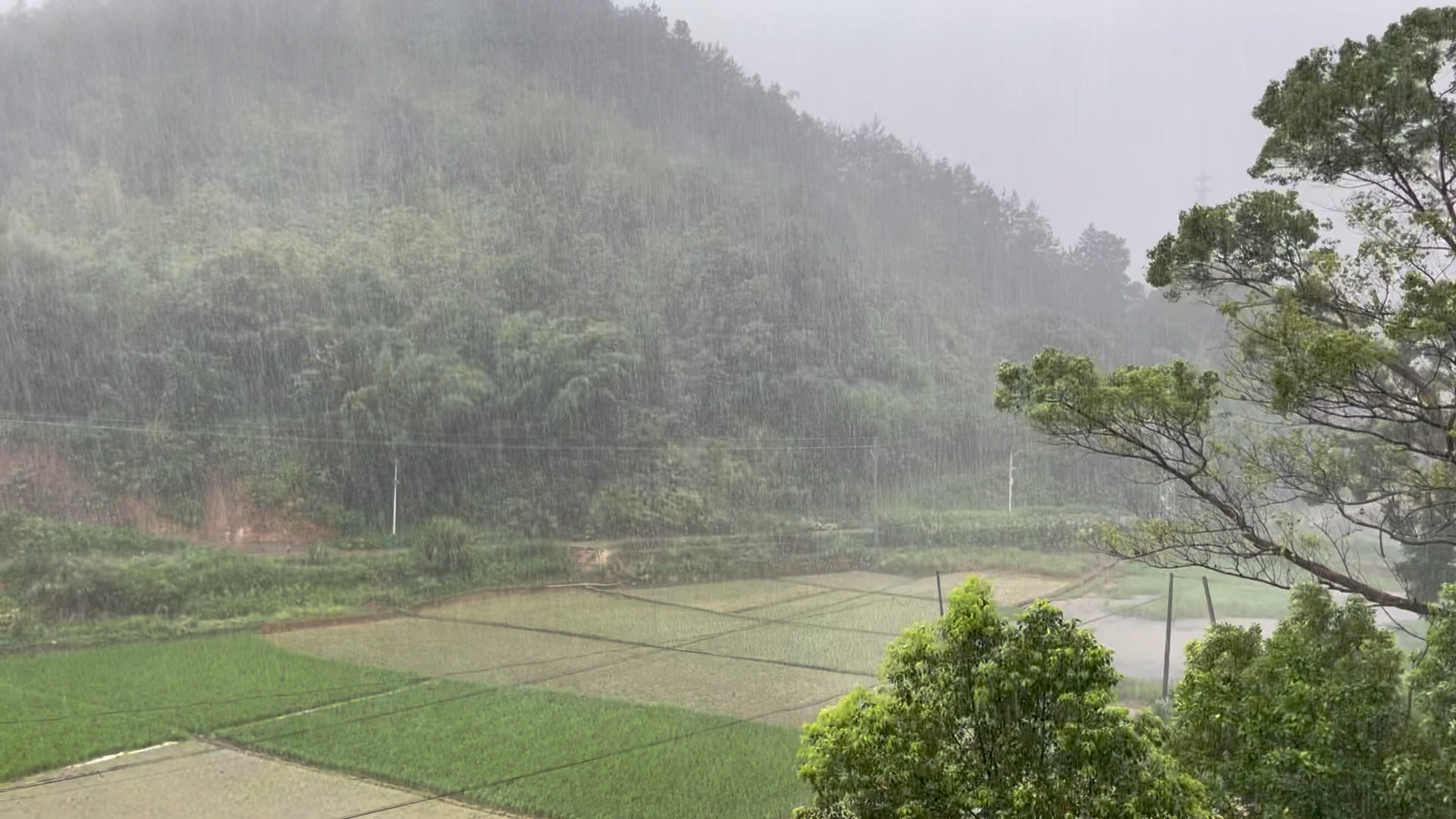 农村下大雨的照片图片