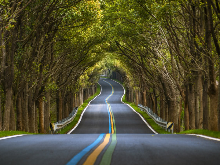 中国最美网红公路