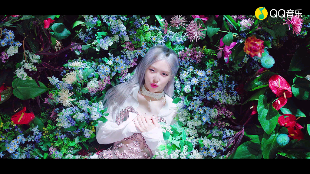 blink们快来看,blackpink出