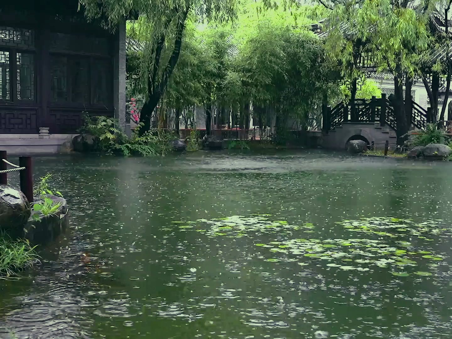 【真实雨声】催眠曲舒缓压力快速入睡|治愈重度失眠|深度睡眠哔哩哔哩bilibili