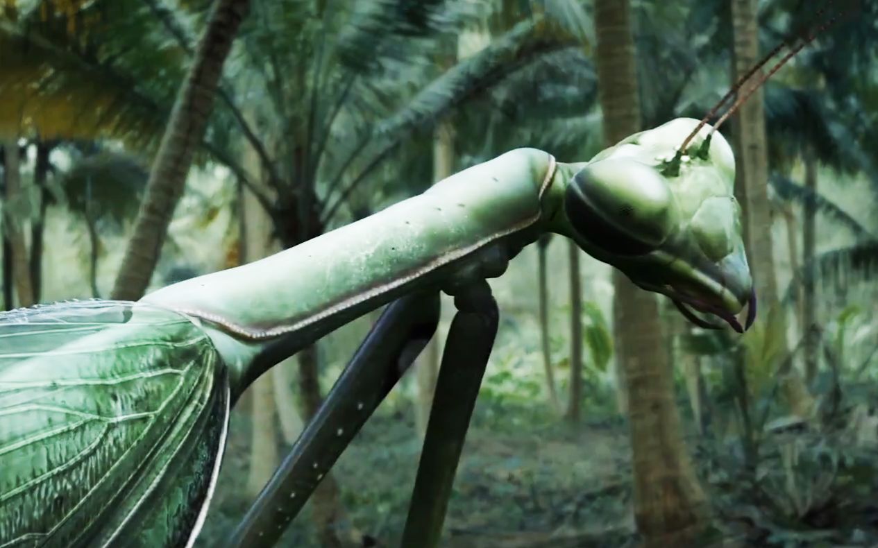 神秘海岛生物变异,众人前往研究,结果成了螳螂的开胃菜