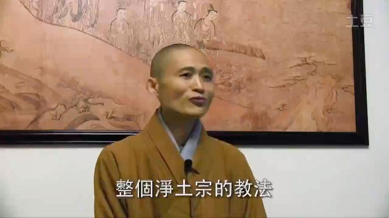 纯粹的净土宗—净宗法师专访(一)弘扬善导大师的思想之因 善导大师