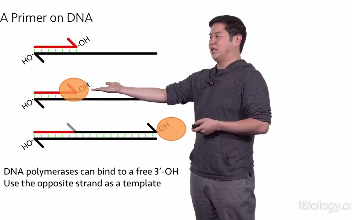 快速了解NGS原理 Next Generation Sequencing 1 Overview  Eric Chow (UCSF)哔哩哔哩bilibili