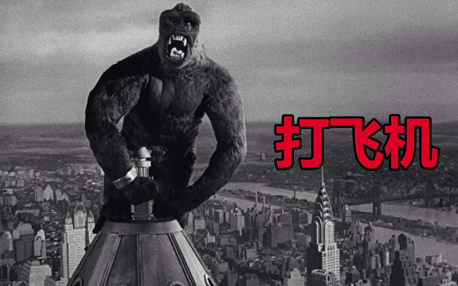 影海拾荒一个跨越种族的舔狗的故事评金刚19336