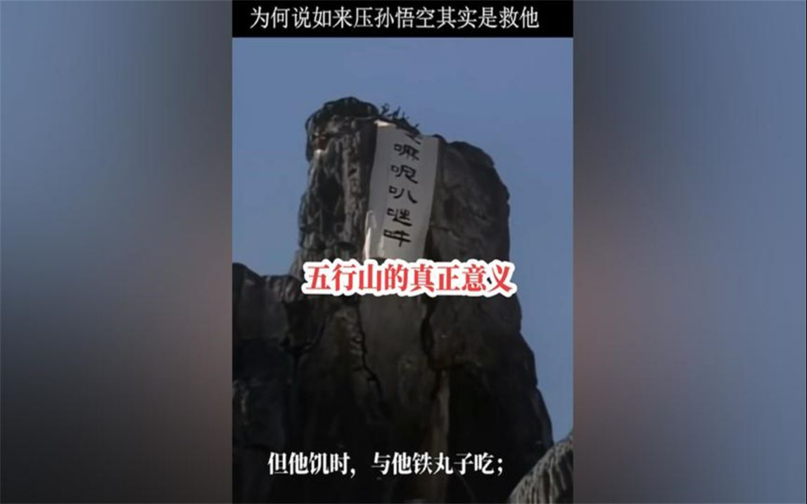 为何说如来压孙悟空其实是保护他呢,五行山的真正意义是什么?哔哩哔哩bilibili