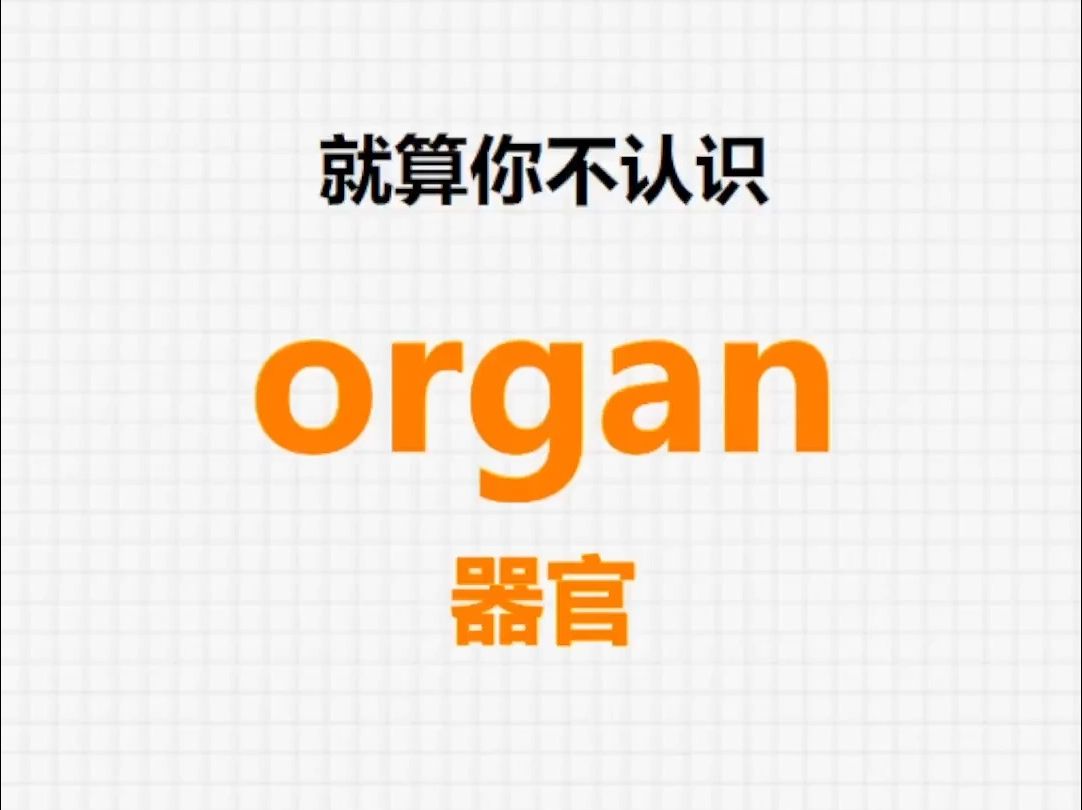 [关注单词大爆炸,organ系列单词记更多]哔哩哔哩bilibili