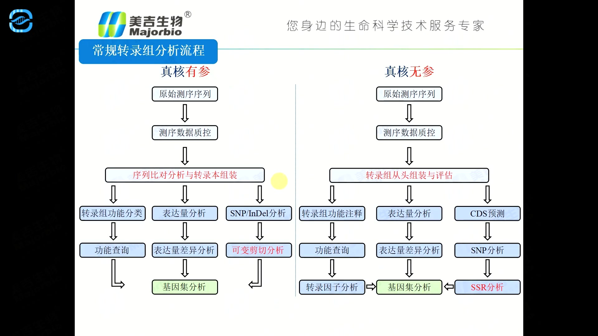 转录组数据挖掘1有参转录组基础数据处理哔哩哔哩bilibili