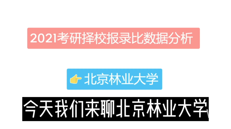 《北京林业大学大学考研报录比汇总表(完整版):及最难考和最容易报考的10个专业分析》哔哩哔哩bilibili