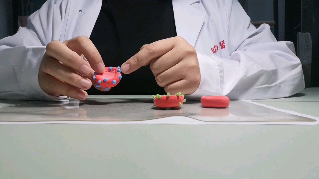 【组胚作业】红细胞模型