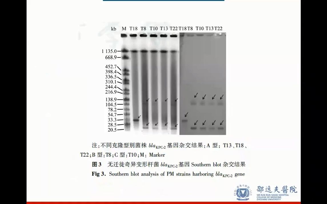 [图]如何开展临床微生物学科学研究