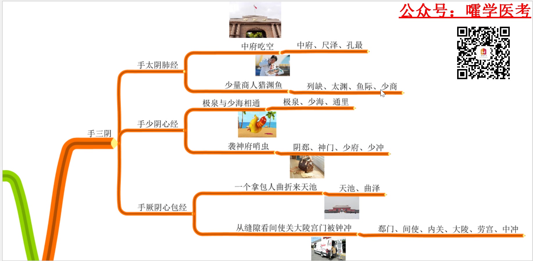 [图]中医考研——怎样把针灸穴位归经40分钟都记住？