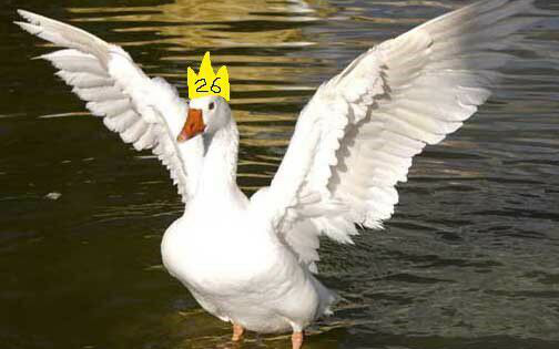 2016老e生贺(改后)_搞笑_生活_bilibili_哔哩哔哩