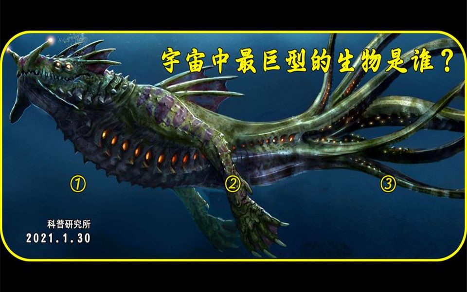 [图]宇宙中最大的生物是谁？带你去看看